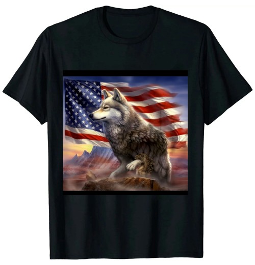 Ulloord with American Flag T-Shirt